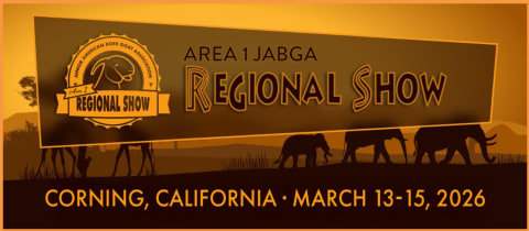 Area 1 JABGA Regional Show  cover photo