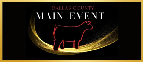 Dallas County Main Event - Cattle Show  cover photo