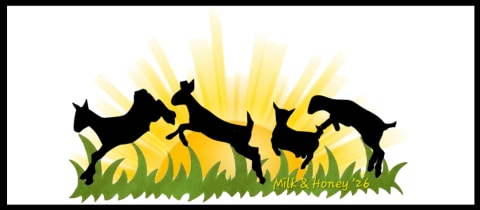 The Milk & Honey 2026 cover photo