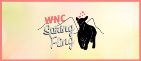 2026 WNC Spring Fling cover photo