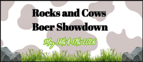 Rocks and Cows Boer Showdown cover photo