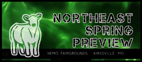 North East Spring Preview cover photo