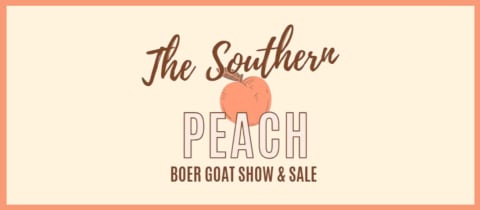 The Southern Peach cover photo
