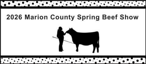 Marion County Spring Beef Show cover photo