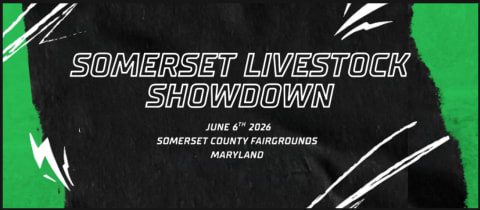 Somerset Livestock Showdown cover photo