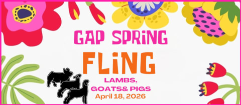 Gap FFA Spring Fling cover photo