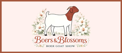 Boers and Blossoms Goat Show cover photo