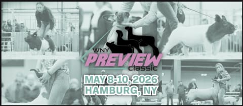 WNY Preview Classic  cover photo