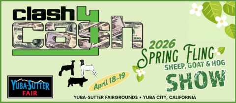 Clash-4-Cash Sheep, Goat & Hog Show cover photo