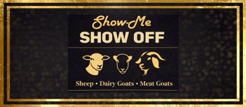 Show Me Show Off cover photo