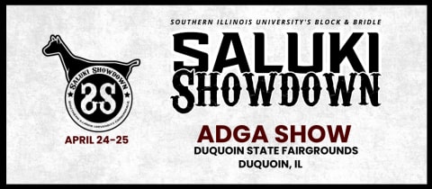 Spring Saluki Showdown ADGA Show cover photo
