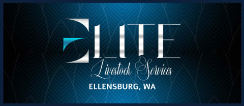 Elite Livestock Camps - Ellensburg, WA cover photo
