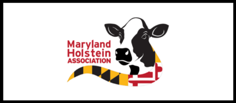 Maryland Spring Holstein Show cover photo