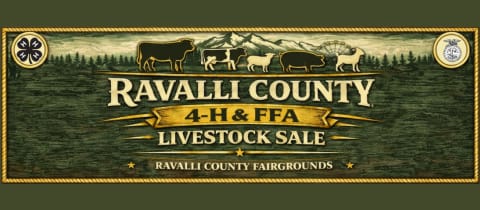 Ravalli County 4-H & FFA Livestock Sale cover photo