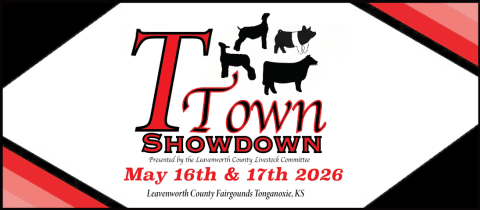 T- Town Showdown cover photo
