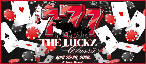 The Lucky 7 Classic cover photo
