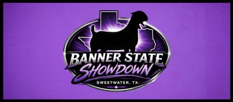Banner State Showdown  cover photo
