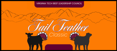 Tail Feather Classic  cover photo