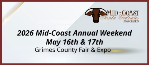 Mid-Coast Junior Warm Up Show cover photo