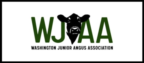 WJAA Field Day  cover photo