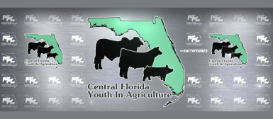 Central Florida Youth In Agriculture Livestock Showcase & Sale cover photo