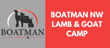 2025 Boatman NW Lamb & Goat Camp  cover photo