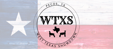 West Texas Showdown cover photo
