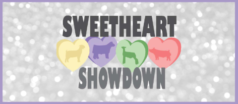 Sweetheart Showdown cover photo