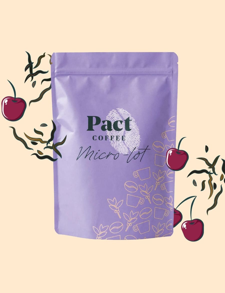 Deri Kocha | Pact Coffee