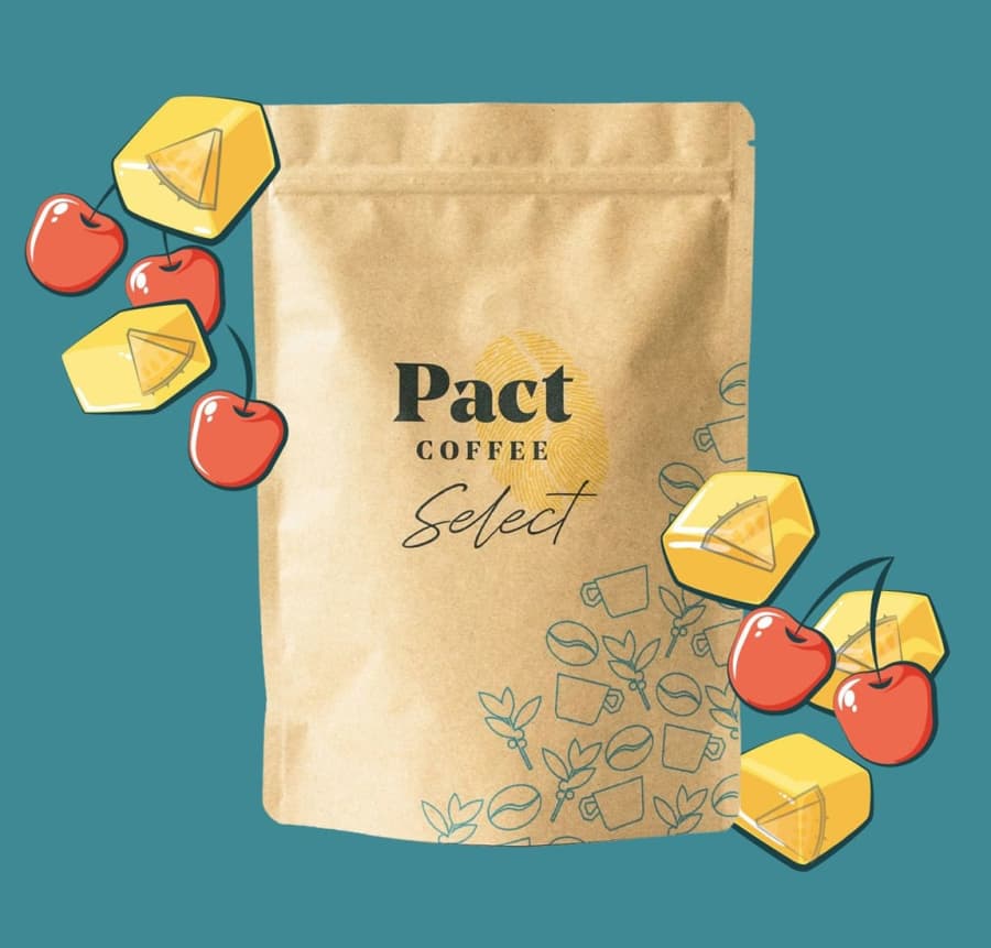 El Retiro Pacamara | Pact Coffee