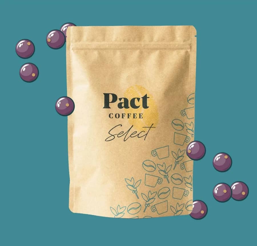 Kiungu | Pact Coffee