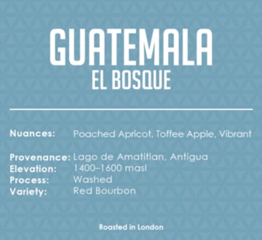 El Bosque | Catalyst Coffee Roasters