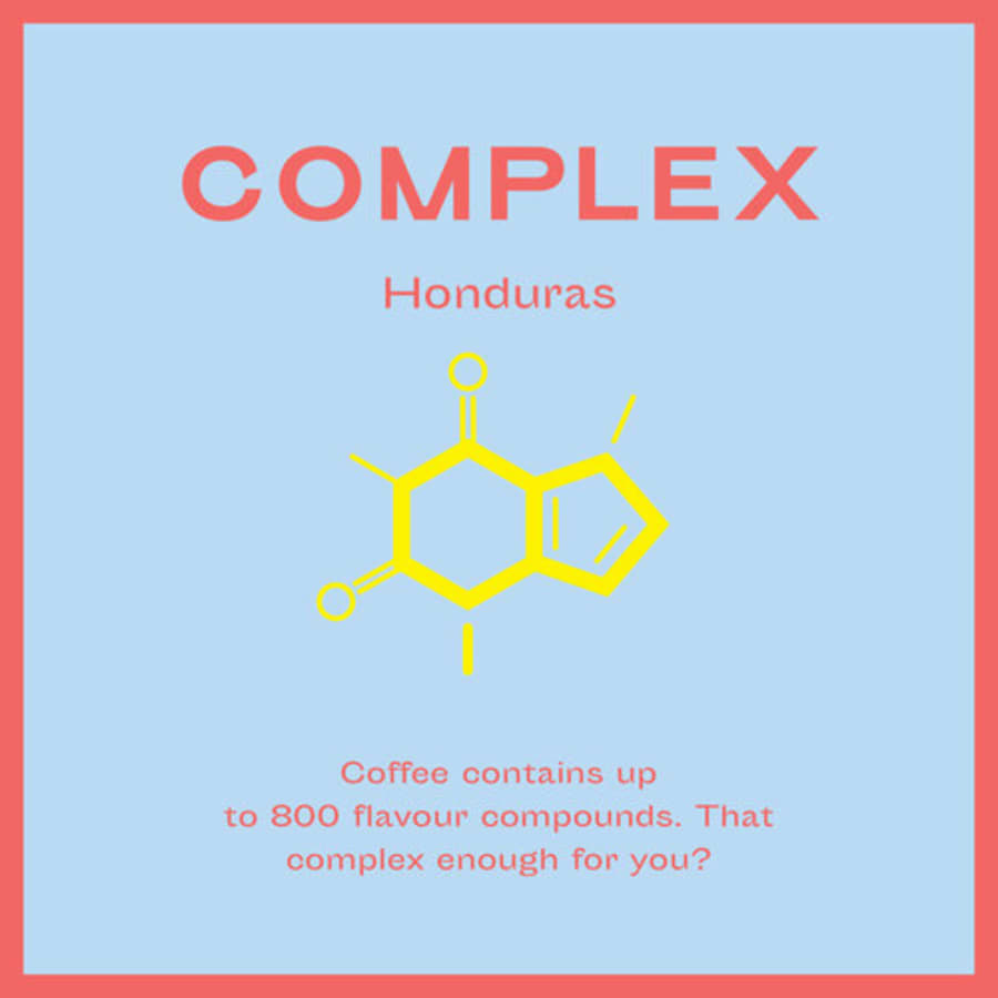 Complex | Common Coffee