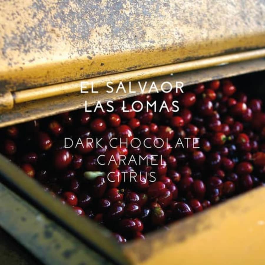 Las Lomas Espresso | Nude Coffee Roasters