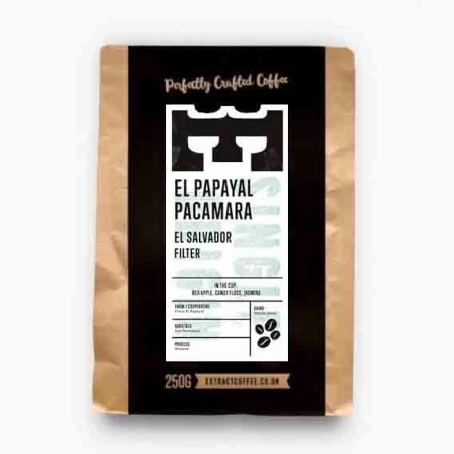 El Papayal Pacamara | Extract Coffee Roasters
