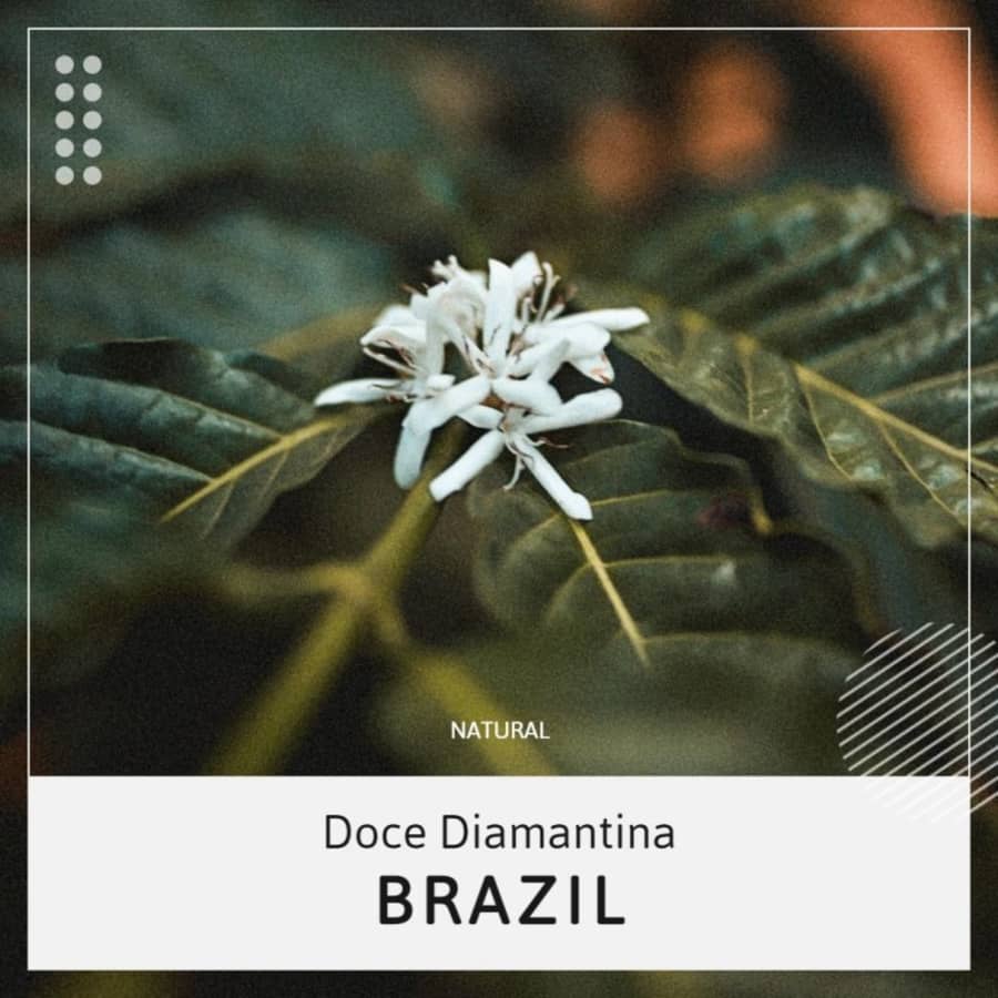 Doce Diamantina | Good Times coffee roasters