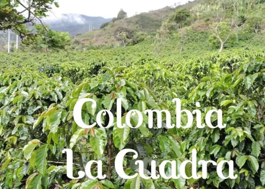 Colombia La Cuadra | Silk Coffee Roasters