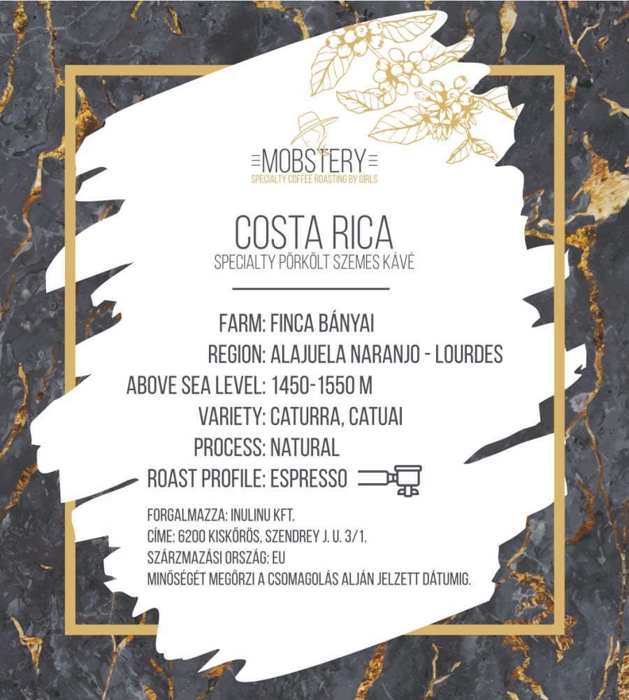 Costa Rica | Mobstery Specialty Coffee