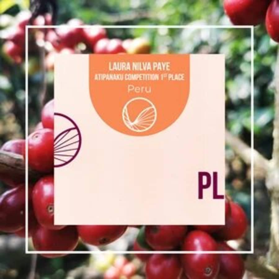 Peru Laura Nilva Paye | PLOT Roasting