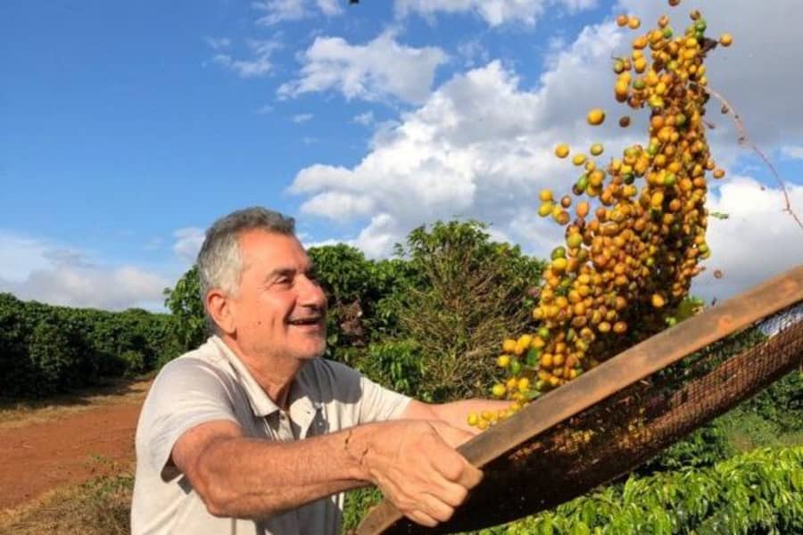 Brazil Strawbs Paraiso Farm Anaerobic Natural | Sabins Coffee