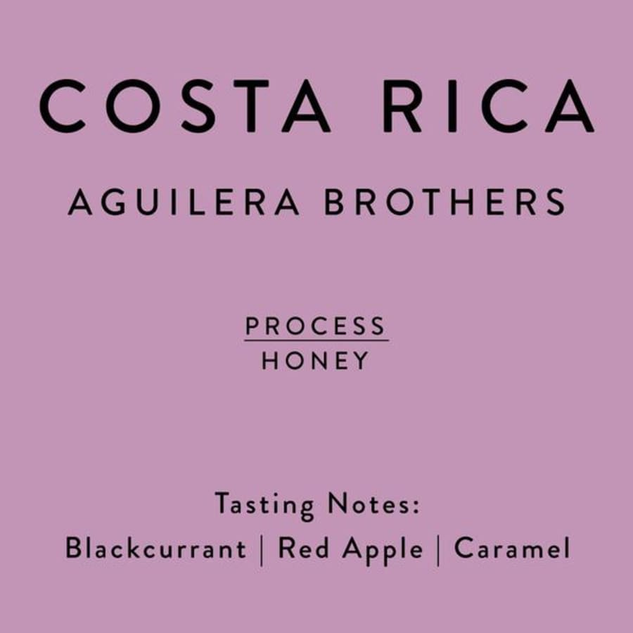 Costa Rica - Aguilera brothers SL28 Honey | Horsham Coffee Roaster