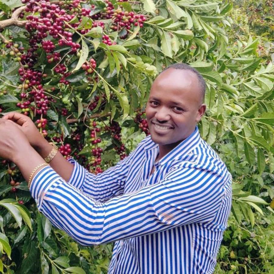 Ethiopia | Gemeda Elias Dube | Thomson's Coffee