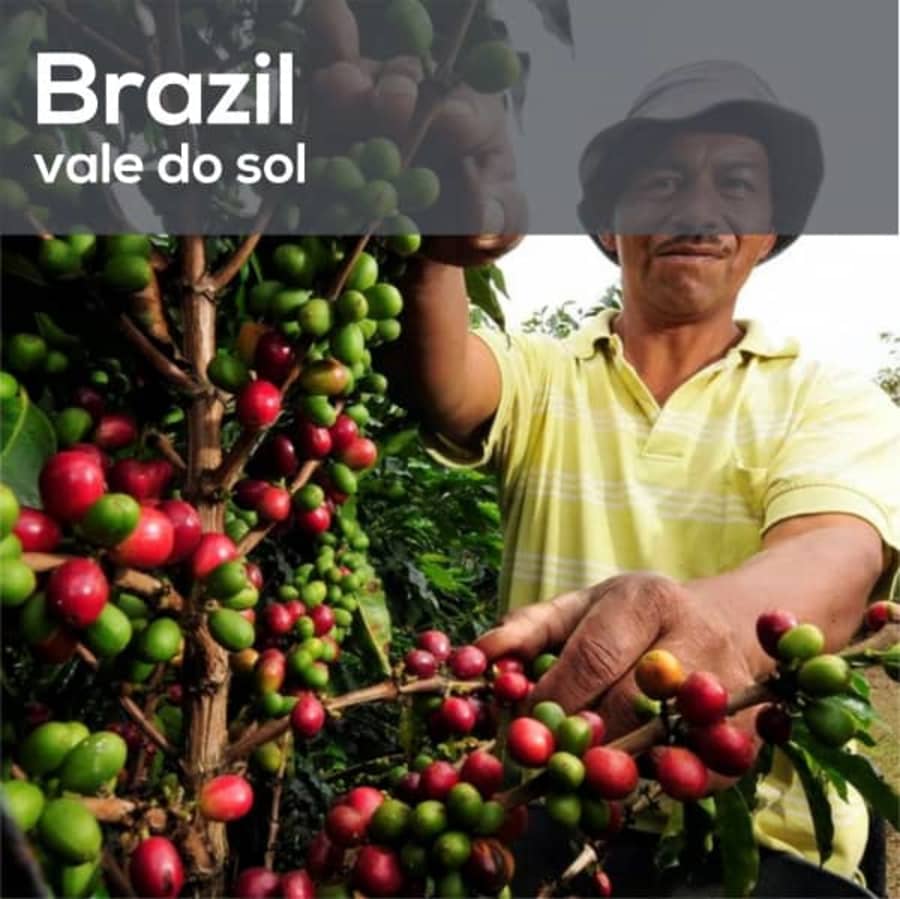 Vale Do Sol | Hinba Coffee Roasters