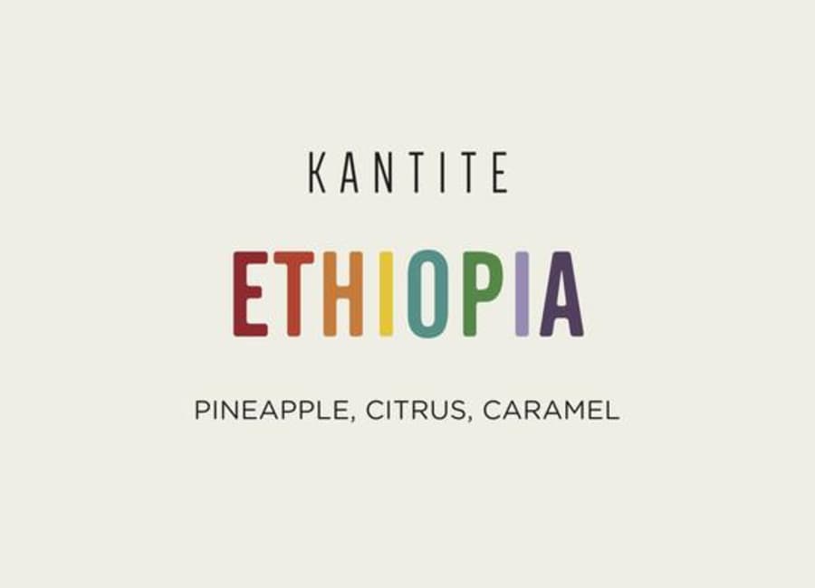 Ethiopia Kantite | Method Coffee Roasters