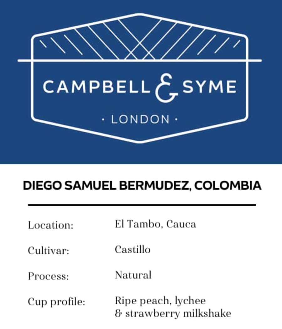 Diego Samuel Bermudez | Campbell and Syme