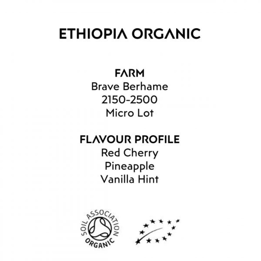 Ethiopia Brave Berhane Organic | Sustain Coffee