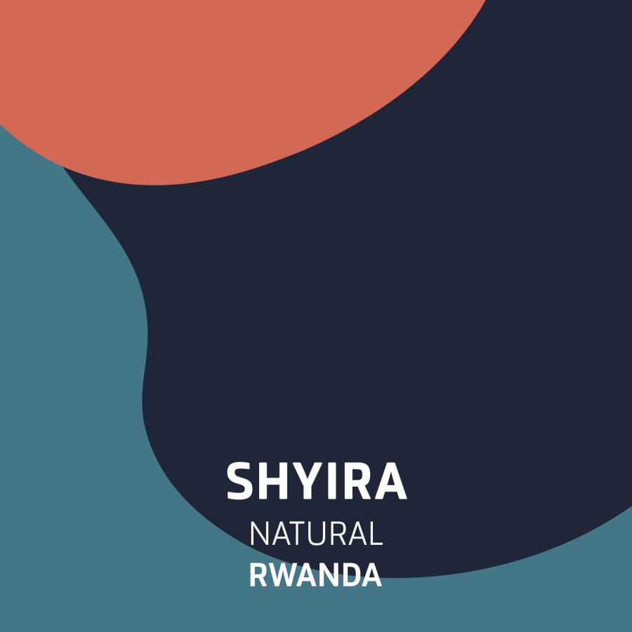 Shyira | Fortitude Coffee