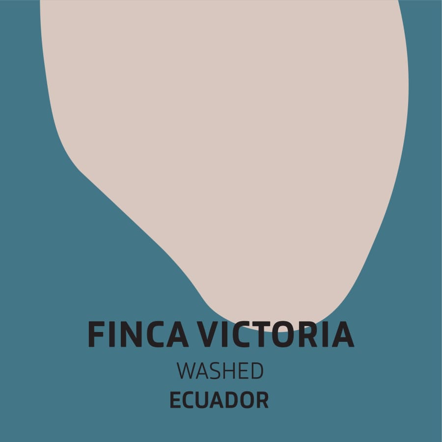 Finca Victoria | Fortitude Coffee