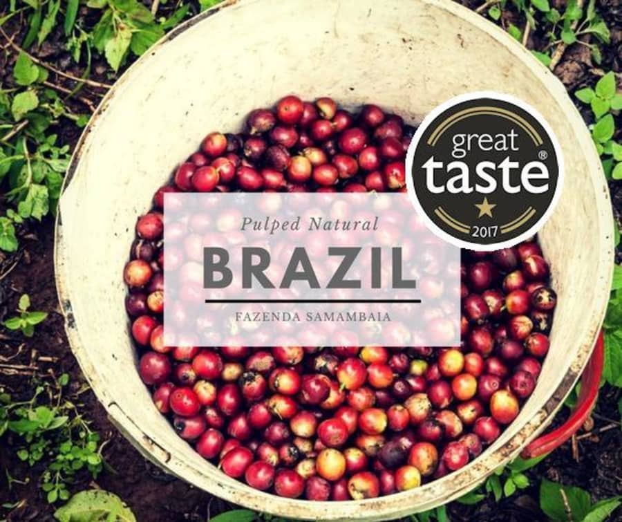 Brazil Fazenda Samambaia | ANVIL Coffee Roasters