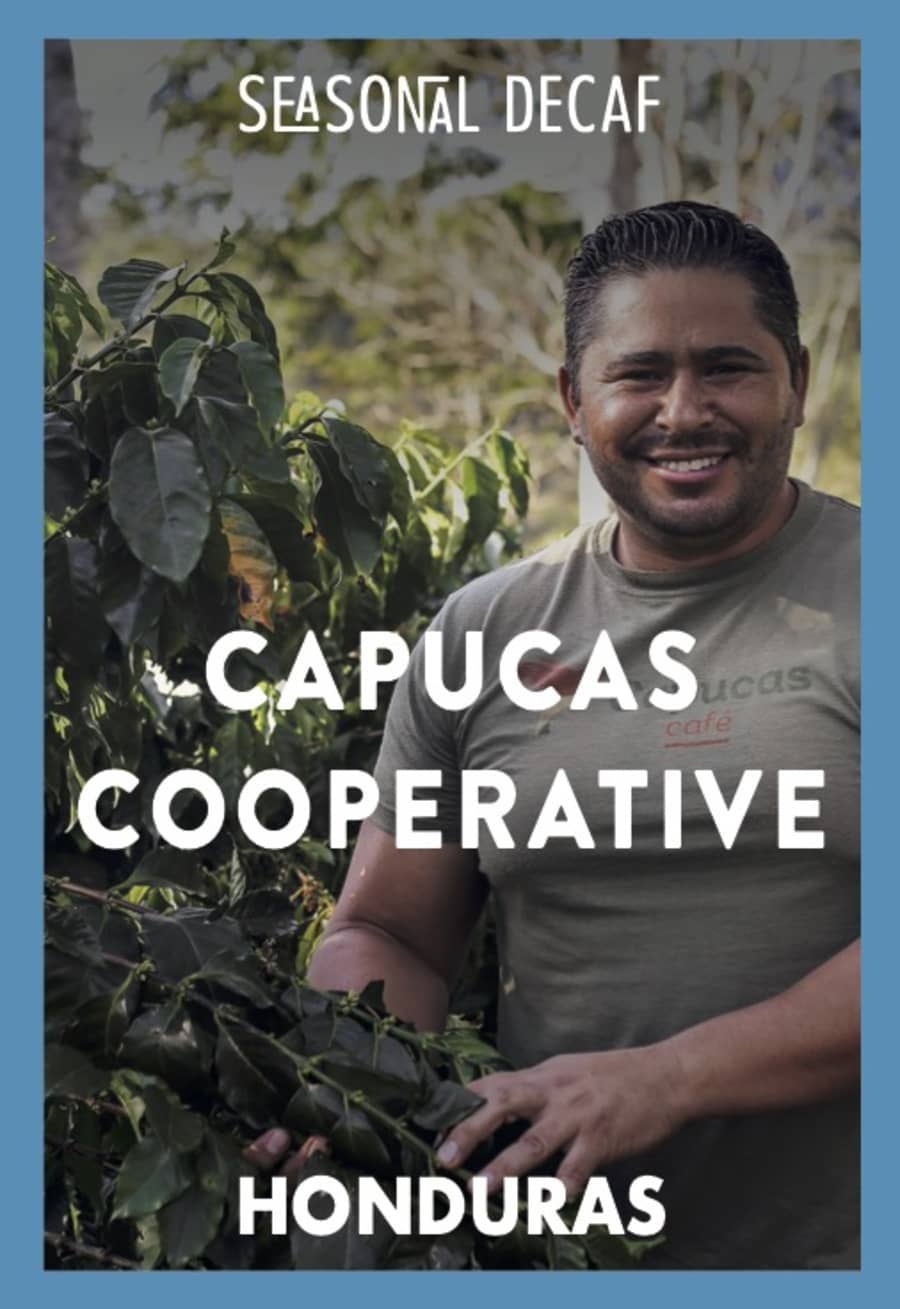 Capucas Cooperative Decaf | Coffee Factory